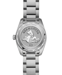 Alternative view of Omega SEAMASTER AQUA TERRA 150M 28 mm, steel on steel 220.10.28.60.55.001