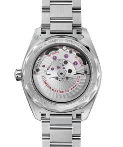 Alternative view of Omega SEAMASTER AQUA TERRA 150M 41 mm, steel on steel 220.10.41.21.02.004