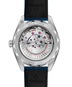 Alternative view of Omega SEAMASTER AQUA TERRA 150M 41 mm, steel on leather strap 220.13.41.21.03.003