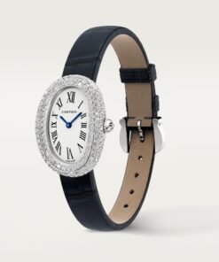 Alternative view of BAIGNOIRE WATCH