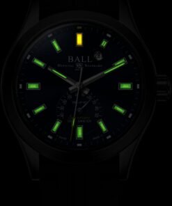 Alternative view of Engineer III Endurance 1917 GMT 42