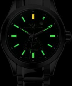 Alternative view of Engineer III Endurance 1917 GMT 42