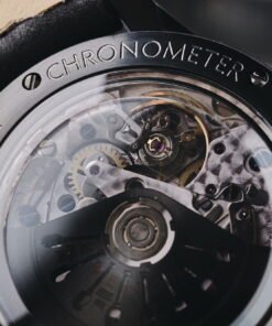 Alternative view of ALT1-P2