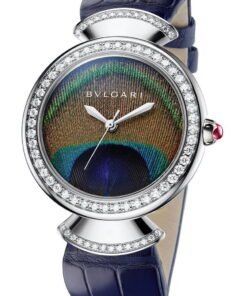 Divas’ Dream Peacock