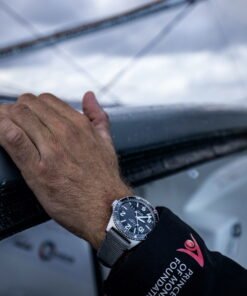 Alternative view of SeaQ Panorama Date