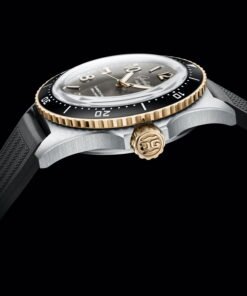 Alternative view of SeaQ Panoramadatum Bicolor