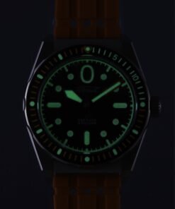 Alternative view of “Amphibia” 0321