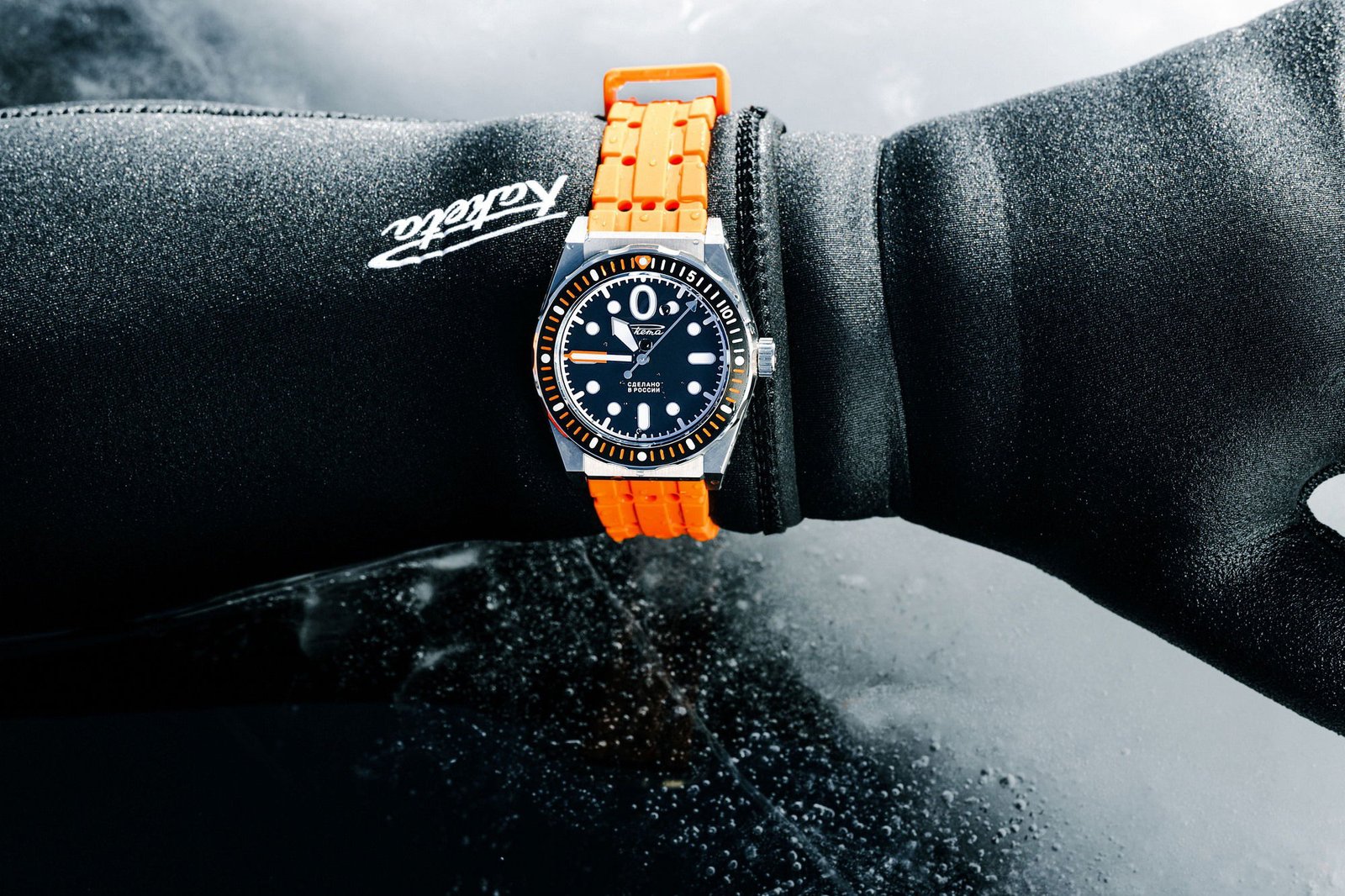 “Amphibia” 0321 - Image 15