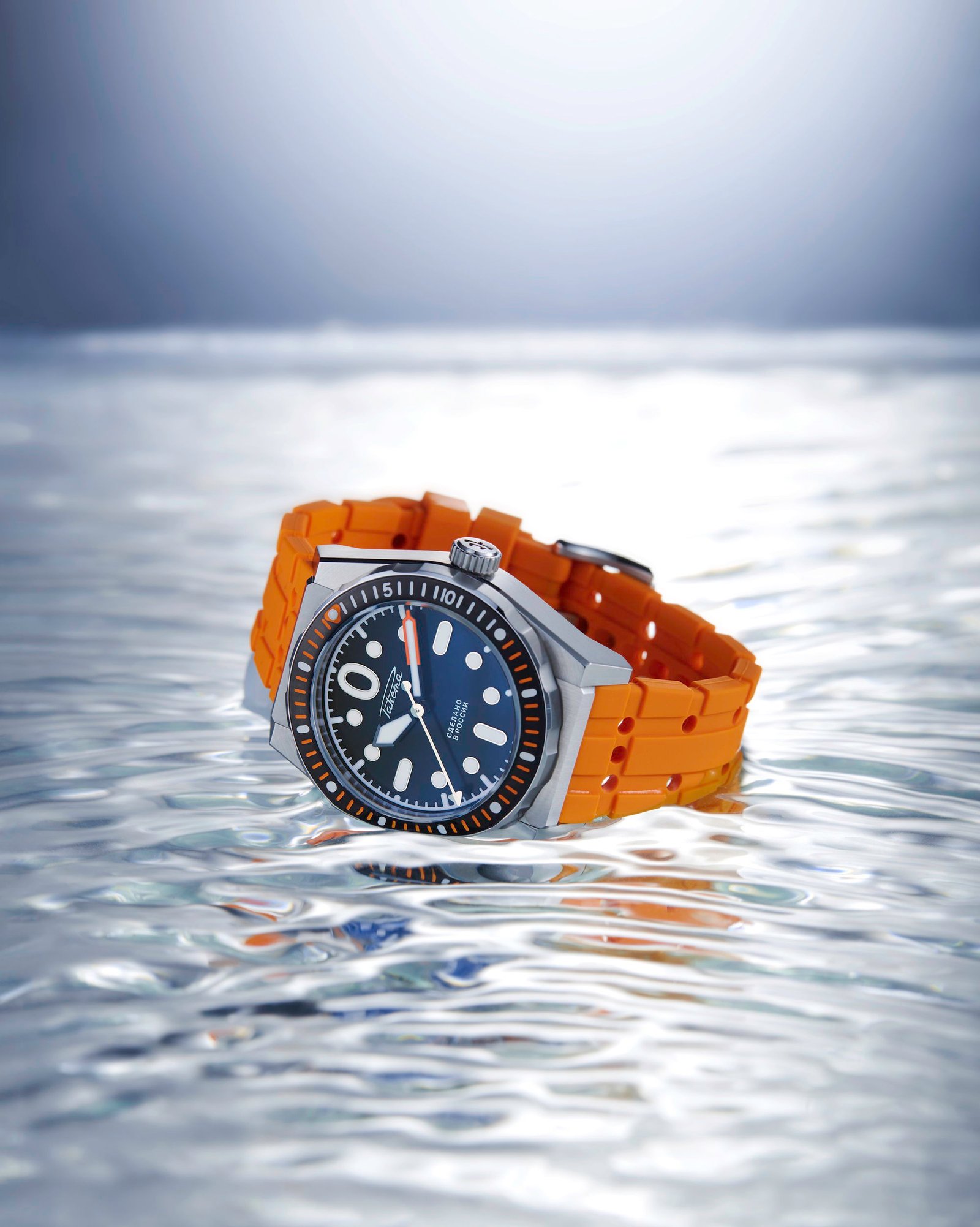 “Amphibia” 0321 - Image 4