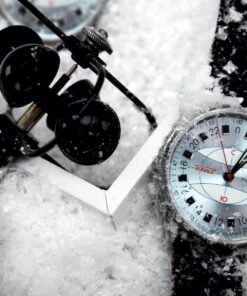 Alternative view of “Polar” 0242