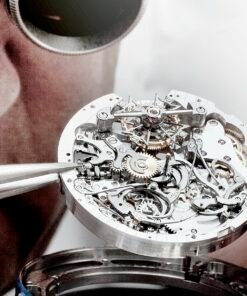 Alternative view of “Les Royaumes Aquatiques®” Les Cabinotiers Minute Repeater Tourbillon – Flying Dutchman